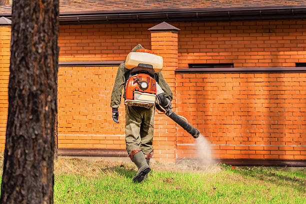 Bed Bug Clearance Verification and Documentation in Leon Valley